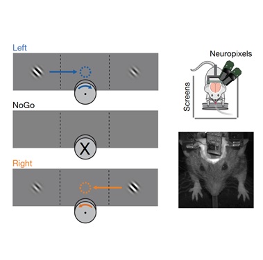 NeuronBlocks/dataset/knowledge_distillation/text_matching_data/valid.tsv at  master · microsoft/NeuronBlocks · GitHub