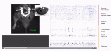 A video showing the experiment in action, with the mouse spinning the wheel and getting its reward.